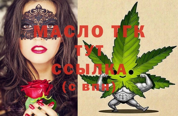 индика Бугульма