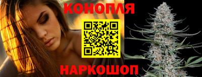 герыч Кингисепп