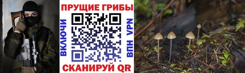Галлюциногенные грибы Cubensis  Ярославль 