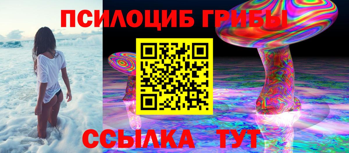 Псилоцибиновые грибы мухоморы Ярославль